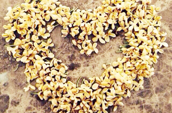 �����c(di��n)��ƪ